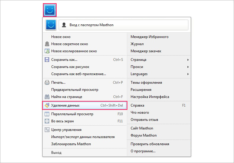 Скриншот настроек браузера